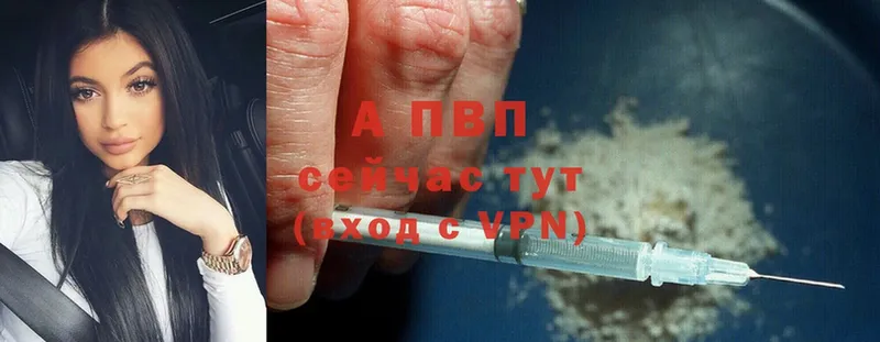 Альфа ПВП СК Славянск-на-Кубани