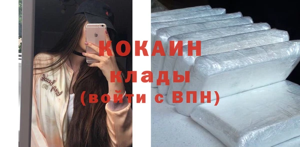 бошки Каменка