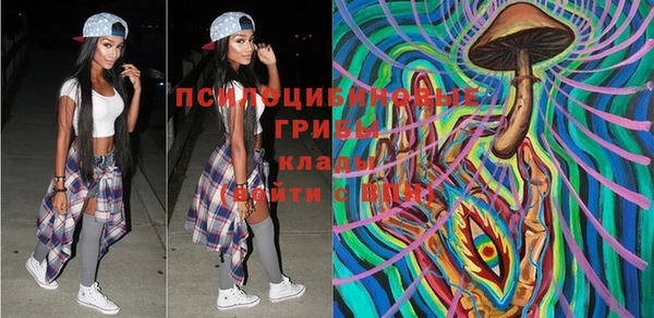 эйфоретик Каменногорск