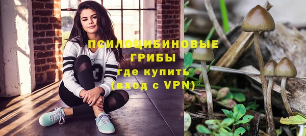 винт Инсар