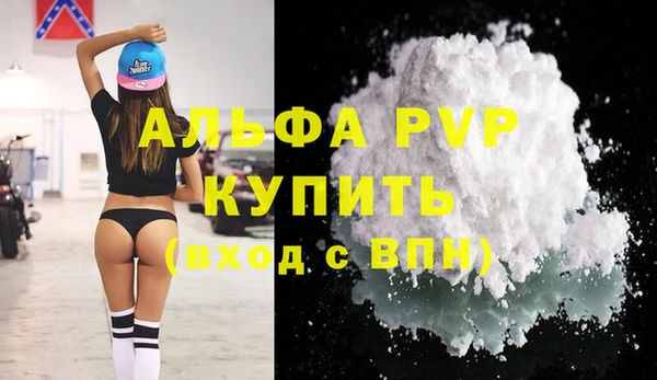 винт Инсар