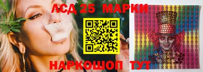 кокс Можга