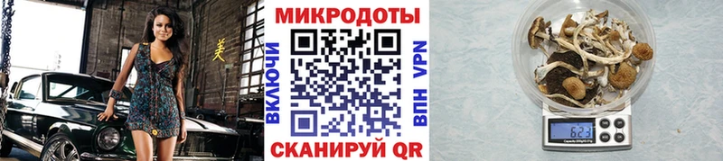 Галлюциногенные грибы Psilocybe мега как зайти Славянск-на-Кубани